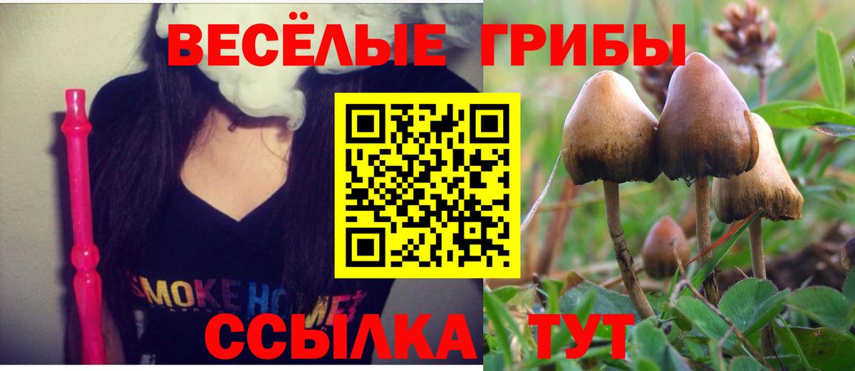 Псилоцибиновые грибы мицелий Салехард